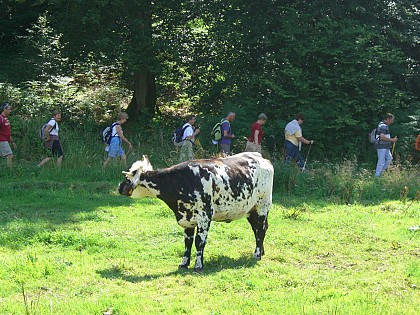 Bracquemont - La Piste des faisans