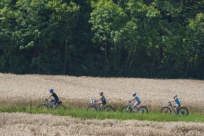 Boucle cyclo : Circuit du Bas Chablais