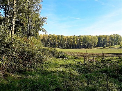 Green moutainbike route