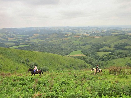 Le sentier des contrebandiers - De Iholdy à Lasse variante - équestre