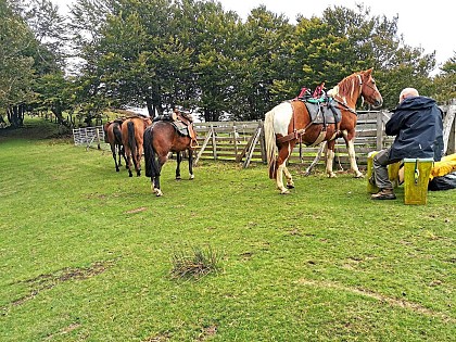 Le sentier des contrebandiers - De Col d'Ehorrieta à St - Martin d'Arossa - équestre