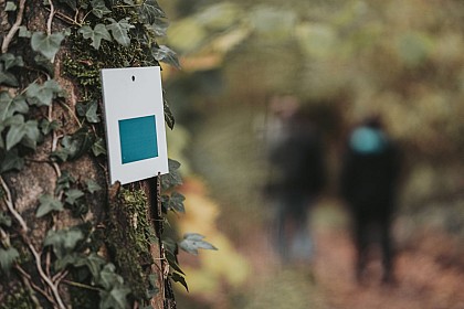 Le Deluve à La Folie