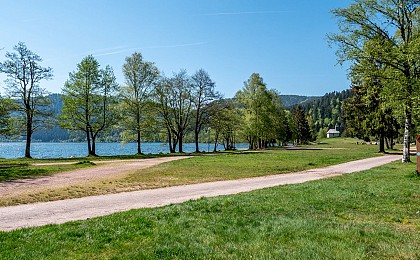 Tour du lac de longemer - walk