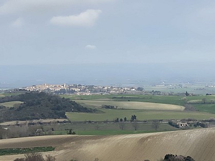 Le bois de la Hille et du Mont Carrière à Fanjeaux