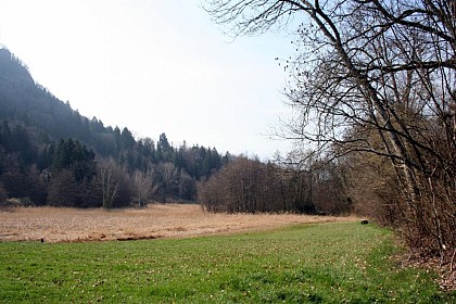 Footpath "des Etelles"