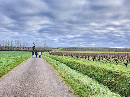 Entre caves et claire fontaine de Saint-Andelain