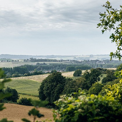 Boucle cyclo 1 Beaurainville - Hesdin