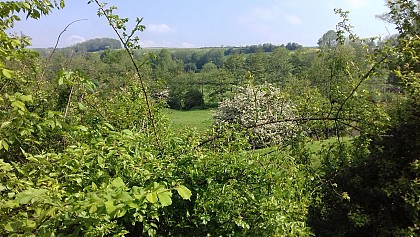 La Fosse du Hêtre