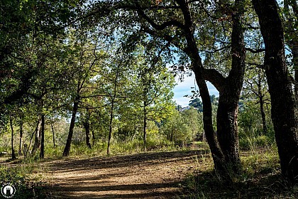 Circuit "Le Pierredon"