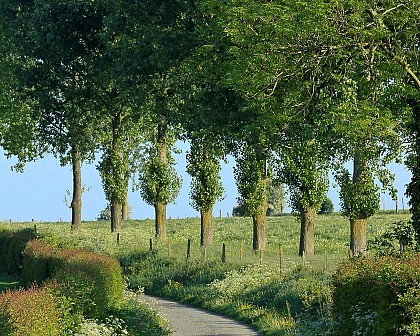 Le Hazois de Diéval