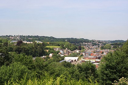 Ensival : Bois du renard (PCDN)