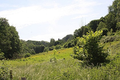 Ensival : promenade du champ des oiseaux (PCDN)