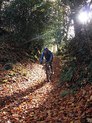 Circuit VTT en Pays de Rennes n°7: La Forêt de Liffré