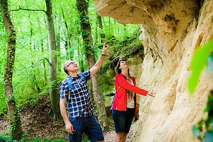 Sentier géologique de Mailly-Champagne (PR 122)
