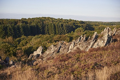 Circuit des Palis, Pluherlin