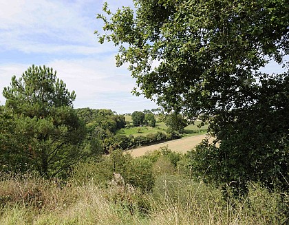 Circuit VTT en Pays de Rennes n°20: Acigné