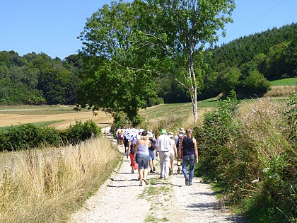 Aux Sources de l'Eaulne