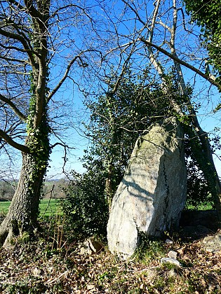 Circuit de Camaret, chat troussé n°11