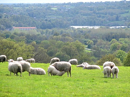 Petite promenade à Montmorillon