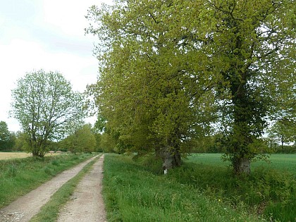Vélo Promenade® en Pays de Rennes n°5