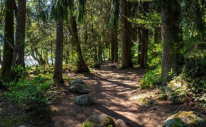 Discovery trail - the ruisseau saint-jacques delta