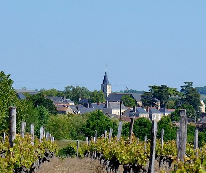 CIRCUIT VTT COMBINÉ N°56 + N°57