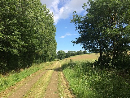 Circuit de Thorigné à deux pas de Sceaux