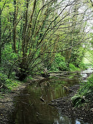 Sentier les sources de la Ternoise