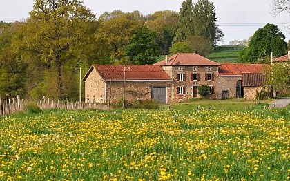 Sentier chez le Geai