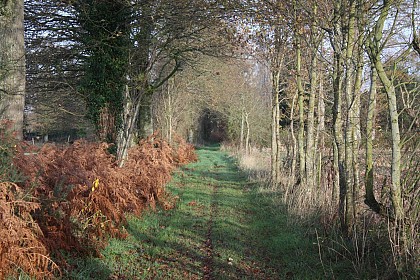 Chevaigné : Circuit du Breil