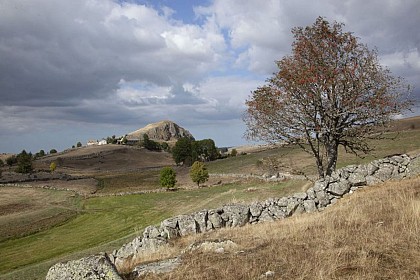 En passant par le Parc Naturel Régional de l'Aubrac