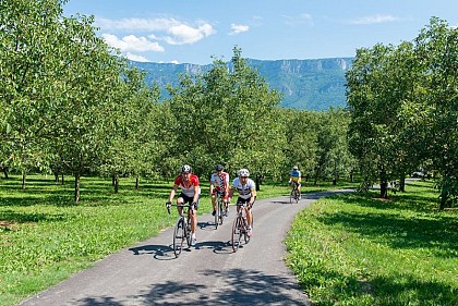 Cyclo : La véloroute La Belle Via