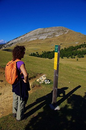 The Mont Barral