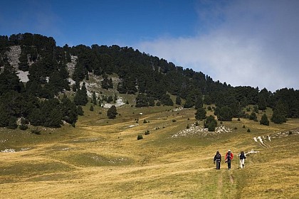 Walk via the Haut-Plateaux du Vercors