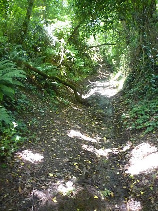 Nouvoitou : Boucle de l'Yaigne