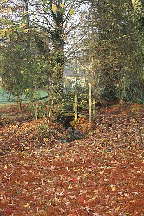 Thorigné-Fouillard : De la ville à la forêt