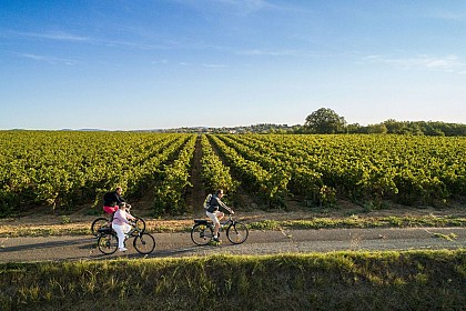 BOUCLE CYCLO N°15 - BALADE SUR LA ROUTE DES VIGNOBLES BITERROIS