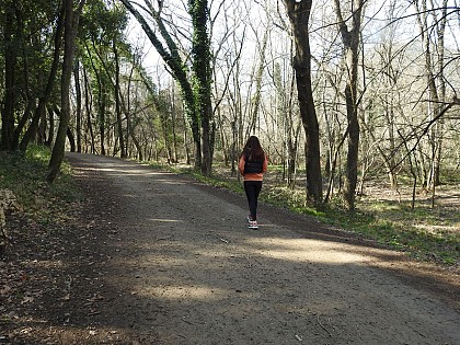 Sentier de la Mole à Cogolin par la Chapelle Sainte-Magdeleine et le Barrage de la Verne