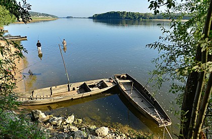 La Vélo Francette et La Loire à Vélo : St-Mathurin-Les Rosiers-Saumur