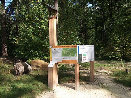 Sentier forestier du Bois Champagne