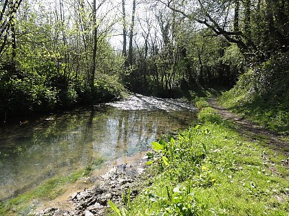 Sentier la fontaine aux Faux