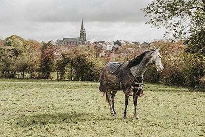De la frontière française au cœur de la Forêt de Chimay