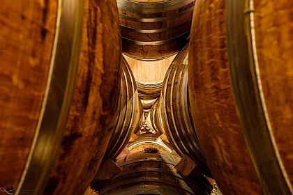 Route du Bois au Champagne sur une 1/2 journée