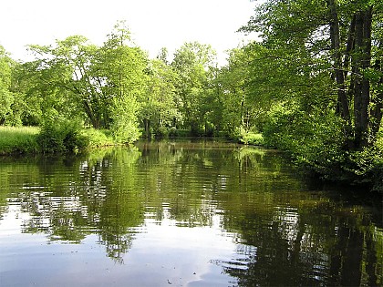 Circuit pédestre N°7 - "Grands Piniers"