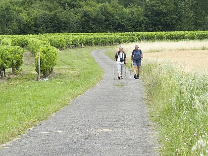 Circuit pédestre N°17 - "Au fil de l'eau"