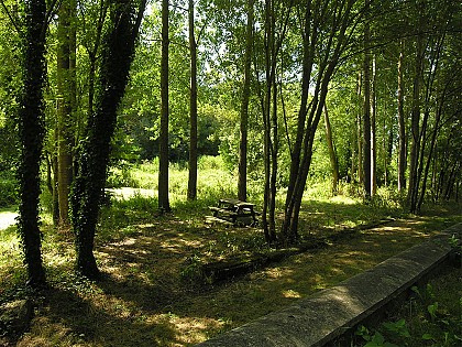 Circuit VTC N°20 - St-Léger - Lijardière - Est