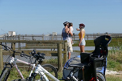 Circuit Véloroute - "Rayonnantes de Haute Saintonge N°5 et N°6" - "Jonzac - Mirambeau - Vitrezay"