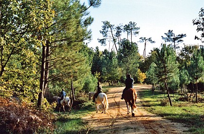 Route des Cardinaux : Étape Montendre / St-Martin d'Ary
