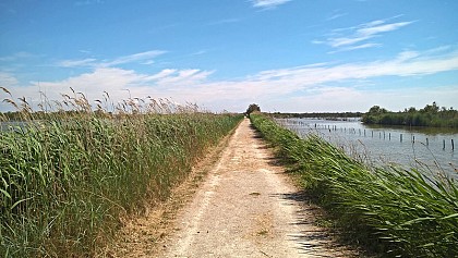 F3R - A la découverte de la Réserve Naturelle du Scamandre