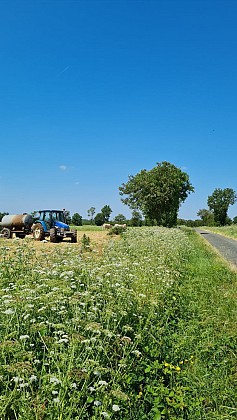 Sentier du Bocage (Variante) - Saint Martin des Noyers